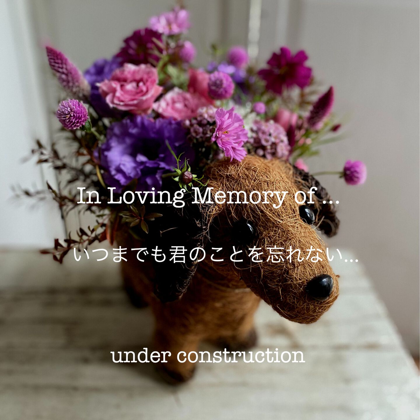 結婚記念日