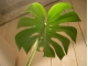 DSCN0629.JPG