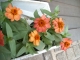 DSCN0603.JPG