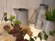 DSCN0563.JPG