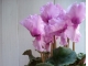 DSCN0882.JPG