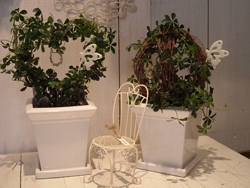DSCN0559.jpg
